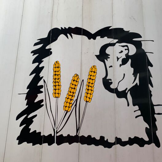 somethingsomethingUVXjBo Aflevering de Jong Transport B.V.