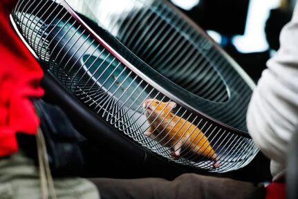 LVS_10jaarVolvoDynamicSteering_4 LVS_10jaarVolvoDynamicSteering_4